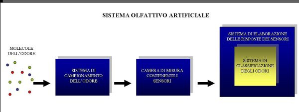 naso elettronico